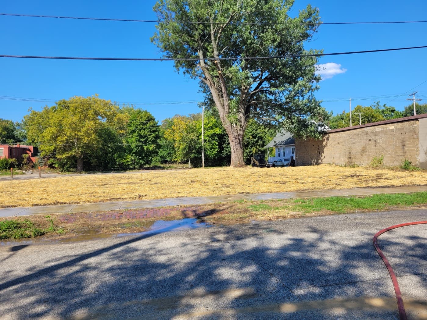 Wade Park project photo 3